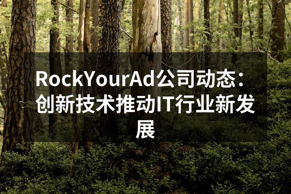 RockYourAd团队在技术会议上交流