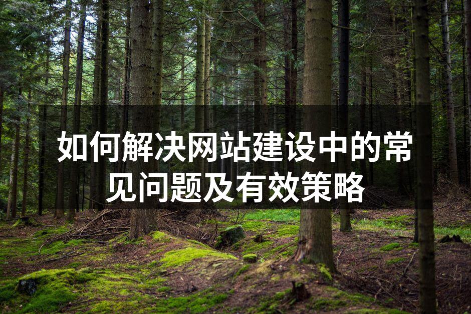 网站建设中的常见问题分析